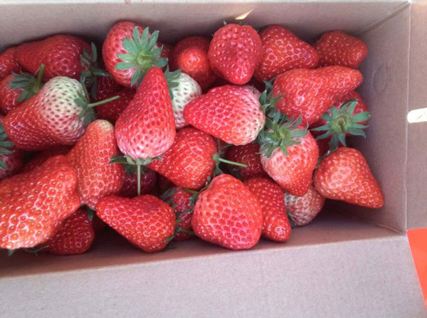 三月春意浓,别样妇女节 三月春意浓,别样妇女节